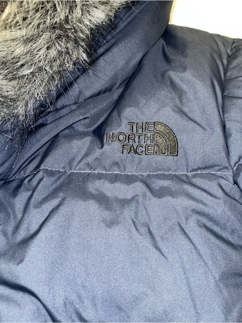 The North Face 550 Dealio Down Parka‎ - Picture 7 of 13